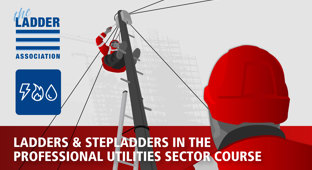 Ladders & Stepladders in the Professional Utilities Sector Course course card
